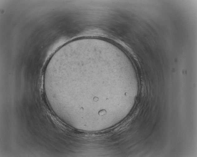 X0000083981366200703161546