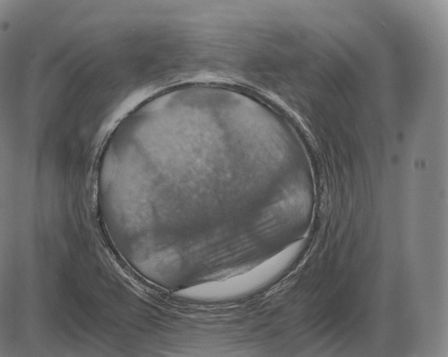 X0000083981367200703161546