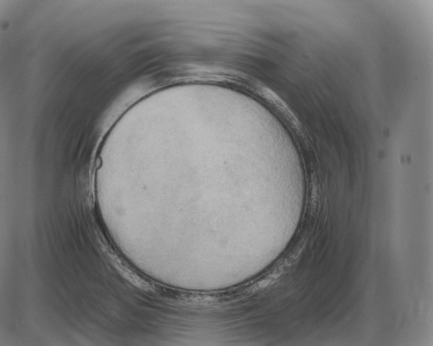 X0000083981370200703161546