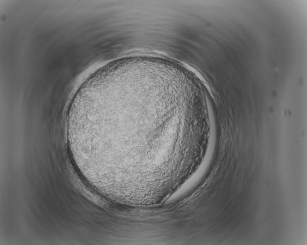 X0000083981371200703161546