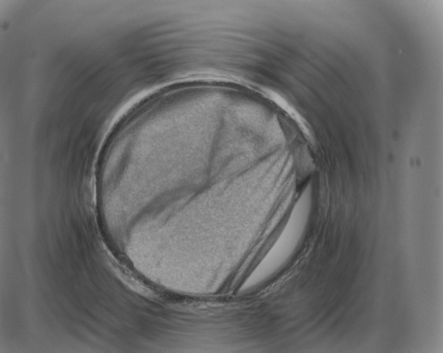 X0000083981372200703161546