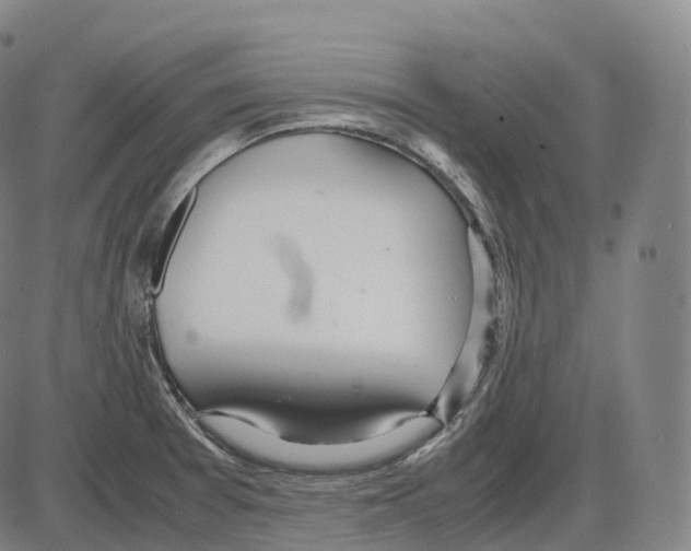 X0000083981377200703161546