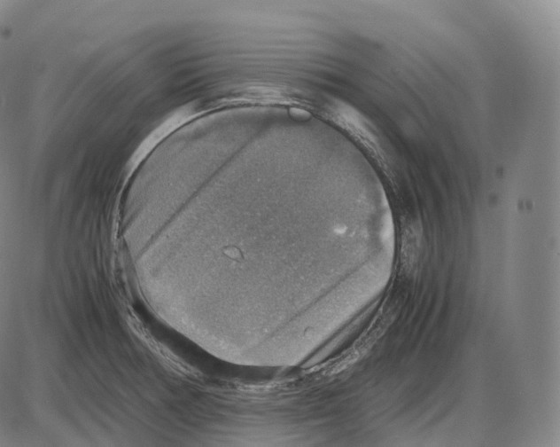 X0000083981378200703161546