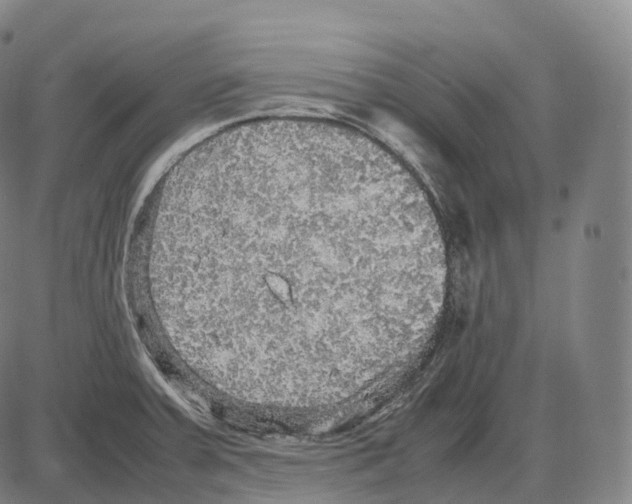 X0000083981379200703161546