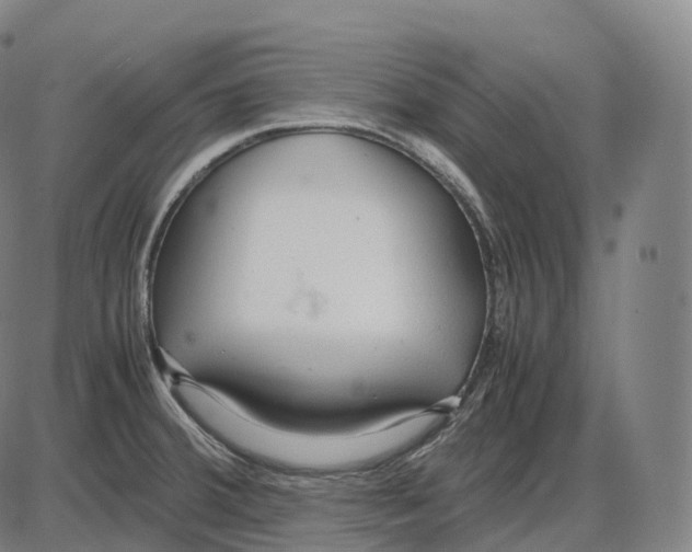 X0000083981380200703161546