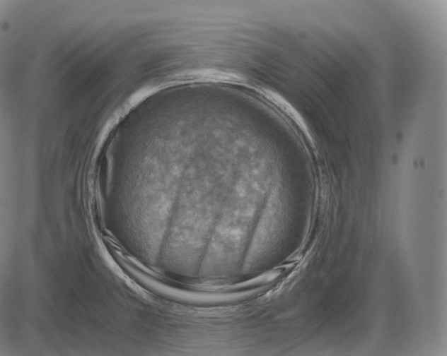 X0000083981381200703161546