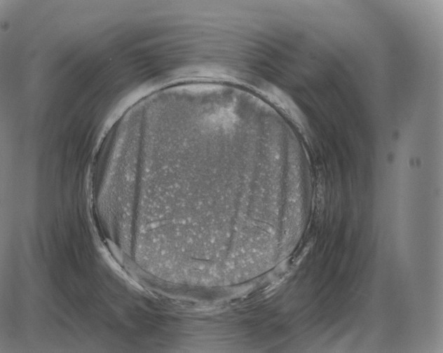 X0000083981382200703161546