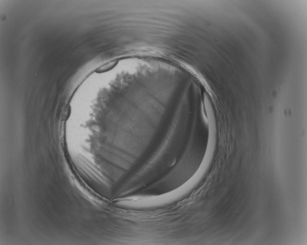 X0000083981383200703161546