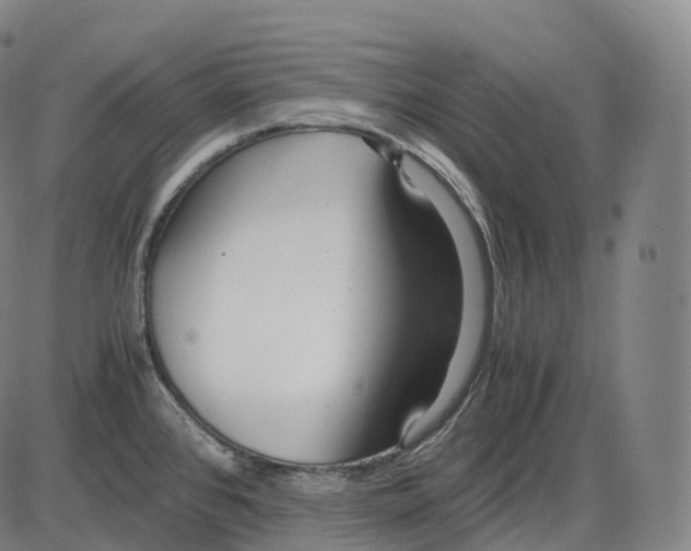 X0000083981384200703161546