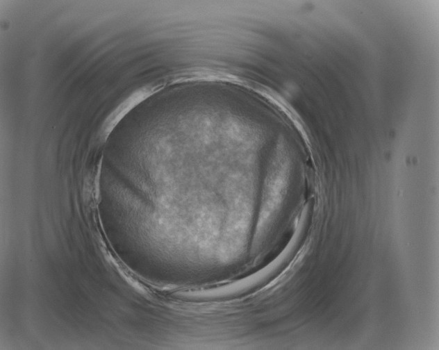 X0000083981385200703161546