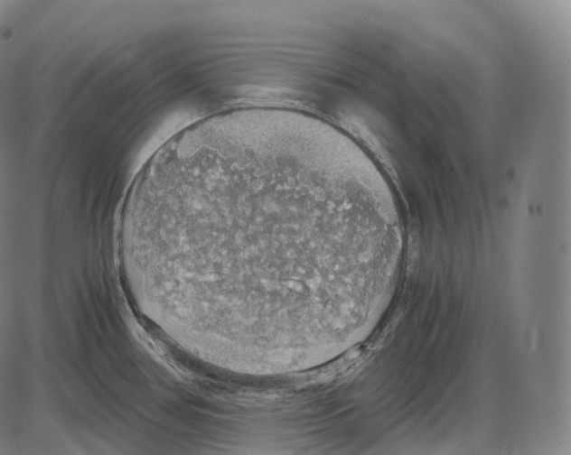 X0000083981386200703161546