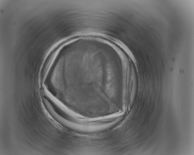 X0000083981388200703161546