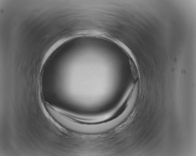 X0000083981389200703161546