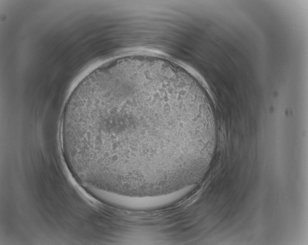 X0000083981391200703161546