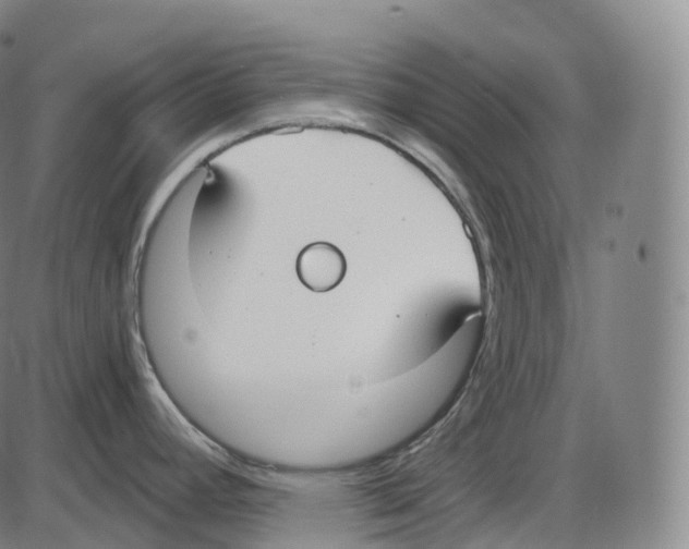 X0000083981392200703161546