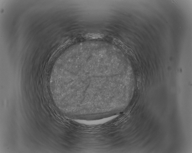 X0000083981393200703161545