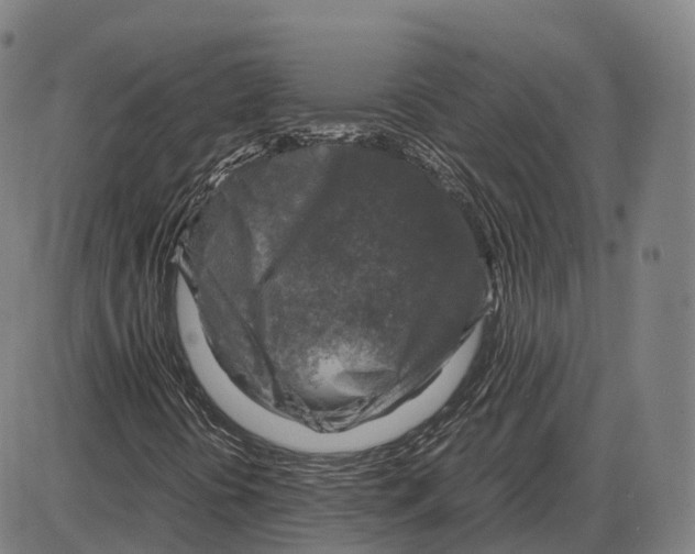 X0000083981394200703161545