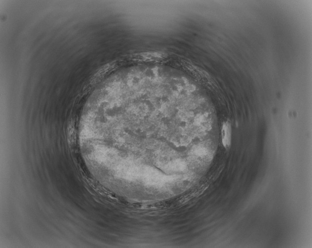 X0000083981395200703161545