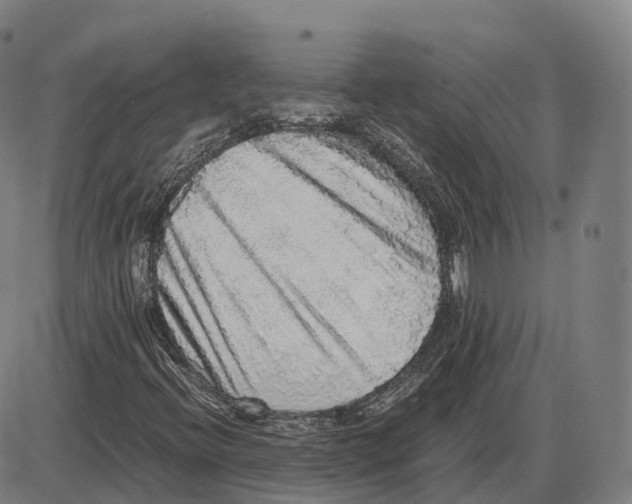 X0000083981396200703161545