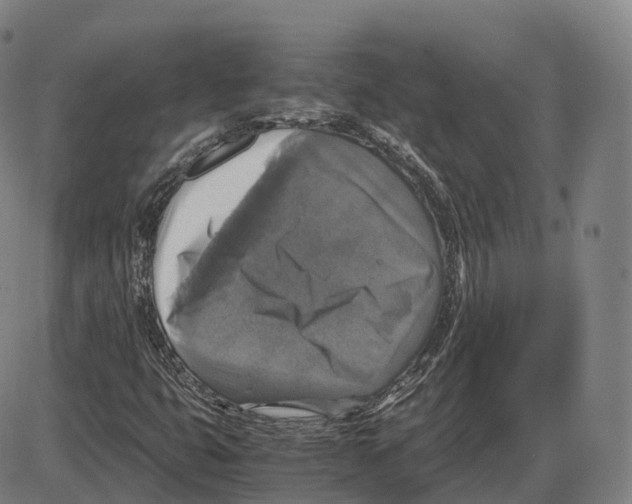 X0000083981399200703161545