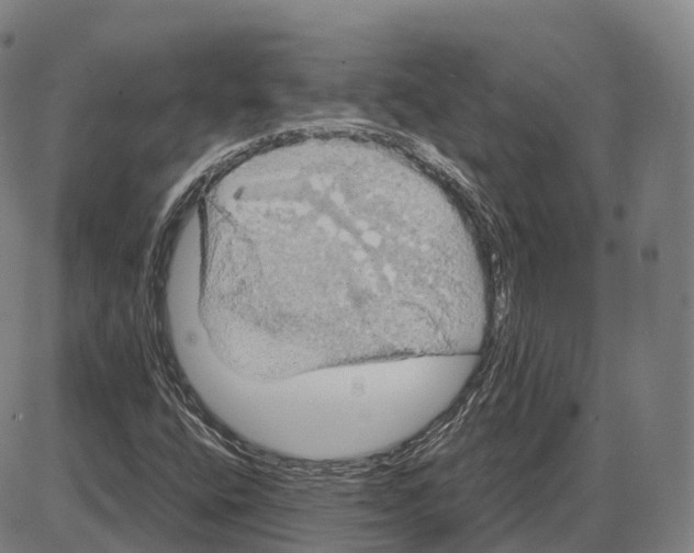 X0000083981400200703161545