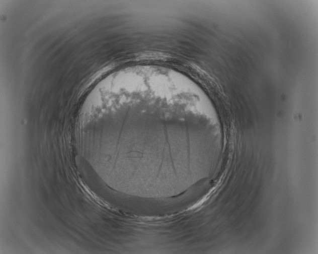 X0000083981401200703161545