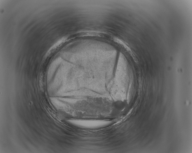 X0000083981403200703161545