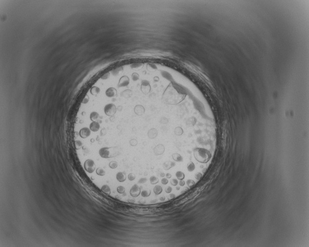 X0000083981404200703161545