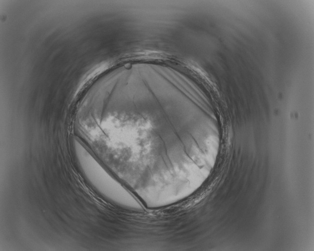 X0000083981405200703161545