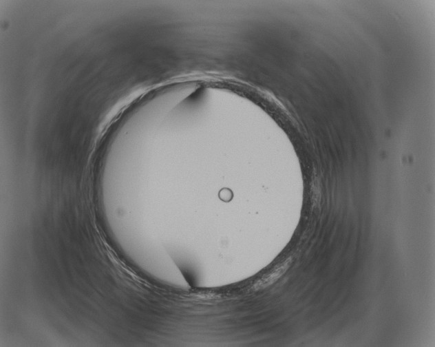 X0000083981406200703161545