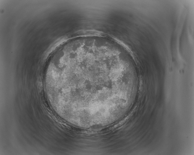 X0000083981407200703161545