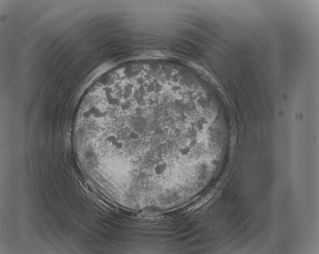 X0000083981409200703161545