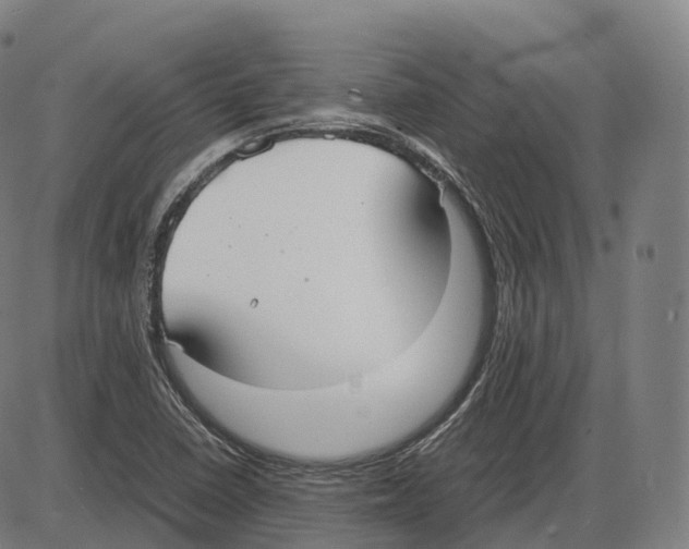 X0000083981410200703161545