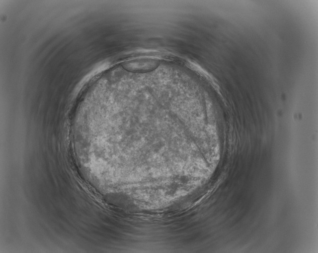 X0000083981411200703161545