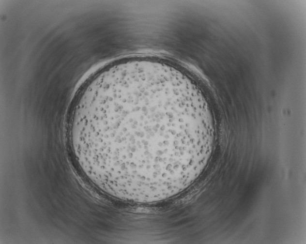 X0000083981412200703161545