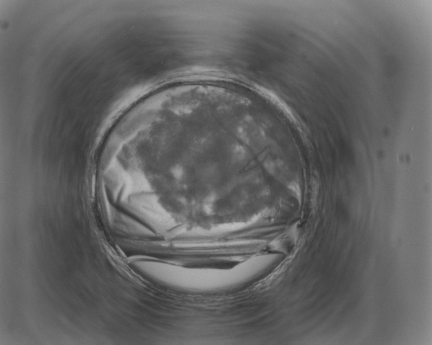 X0000083981413200703161545