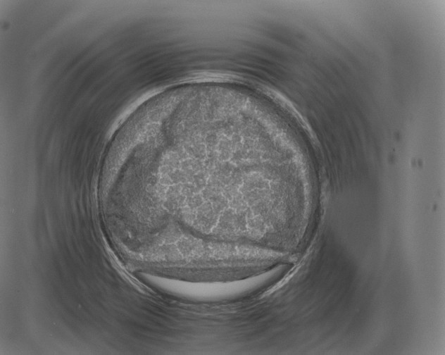 X0000083981417200703161545