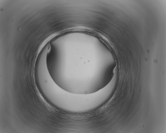 X0000083981418200703161545