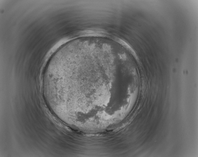 X0000083981419200703161545