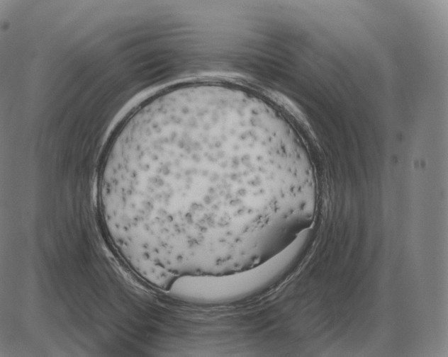 X0000083981420200703161545