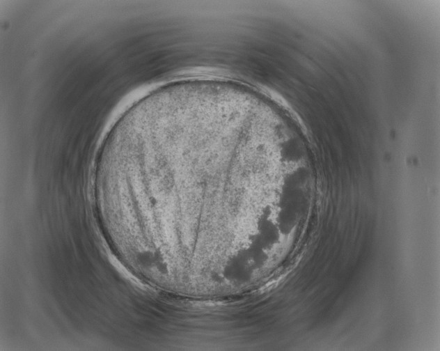 X0000083981421200703161545