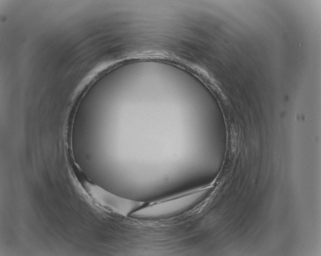 X0000083981422200703161545