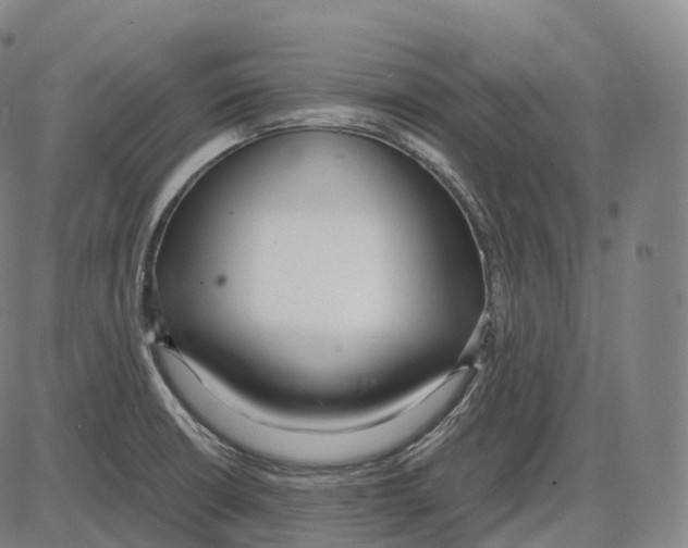 X0000083981426200703161545