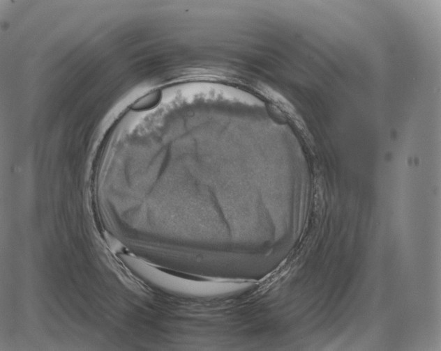 X0000083981427200703161545