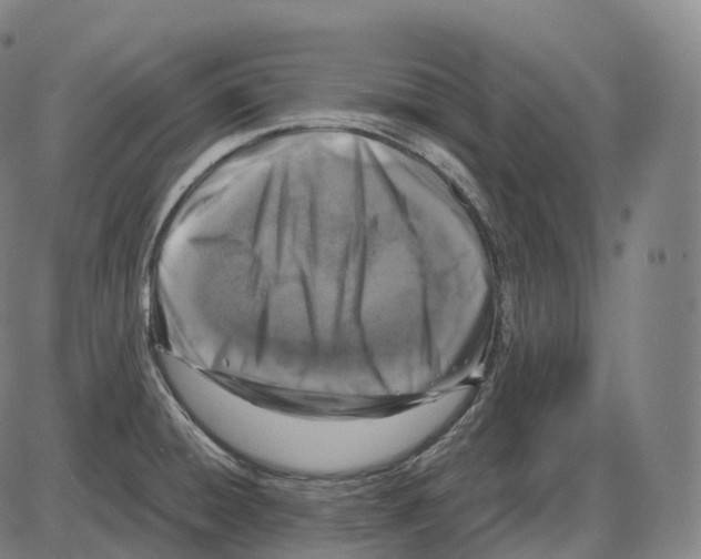 X0000083981428200703161545