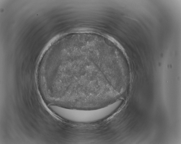 X0000083981429200703161545