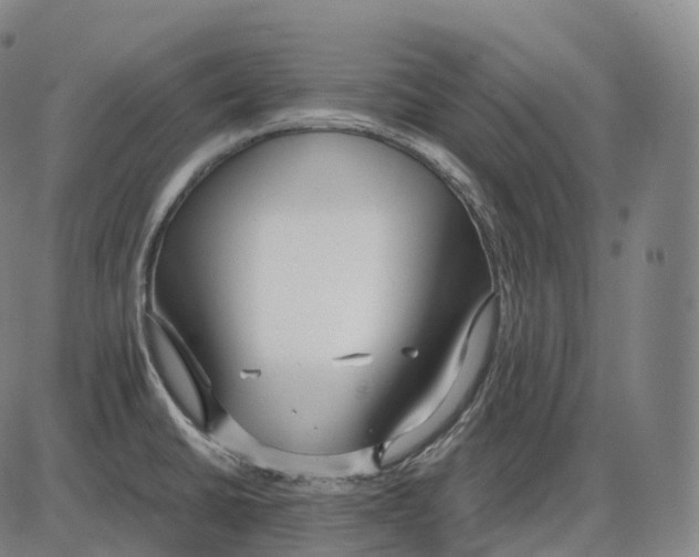 X0000083981430200703161545