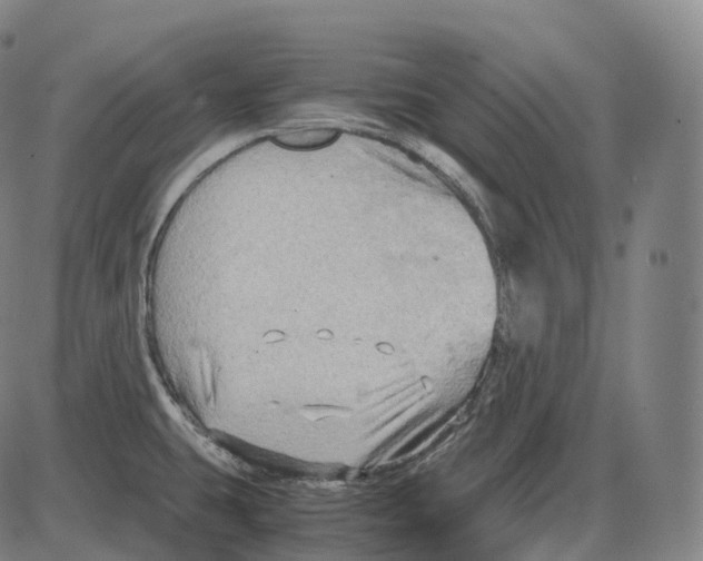 X0000083981431200703161545