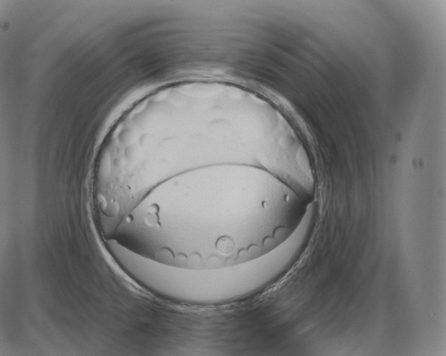 X0000083981432200703161545