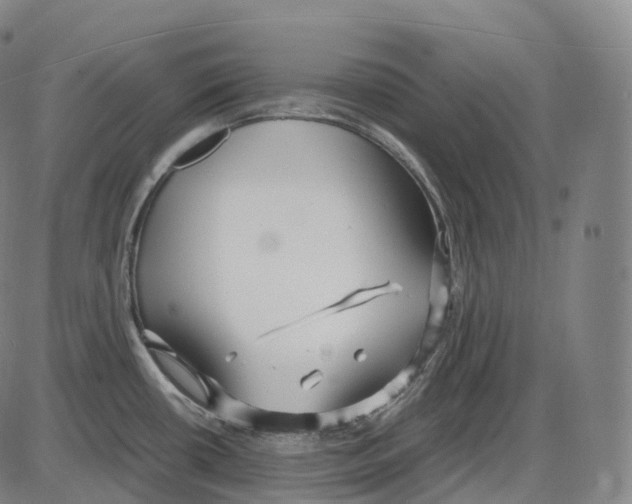 X0000083981434200703161545